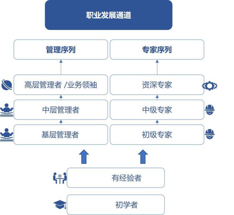 職業(yè)發(fā)展通道體系.jpg
